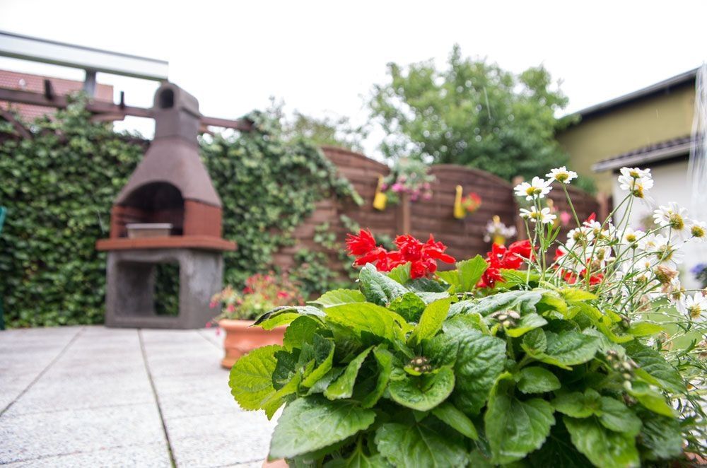 Garten Impression 1