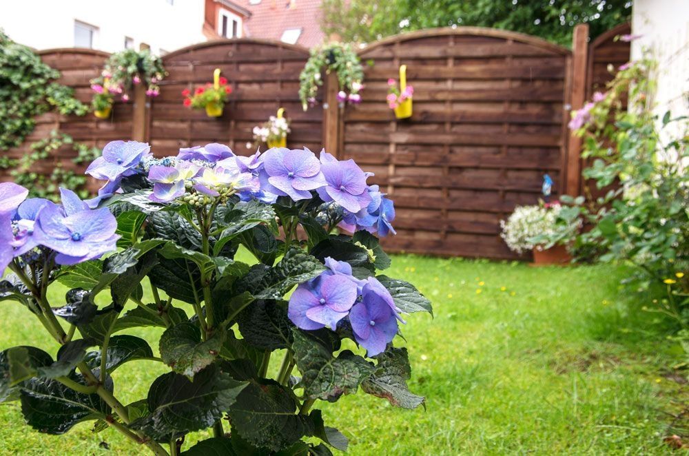 Garten Impression 2