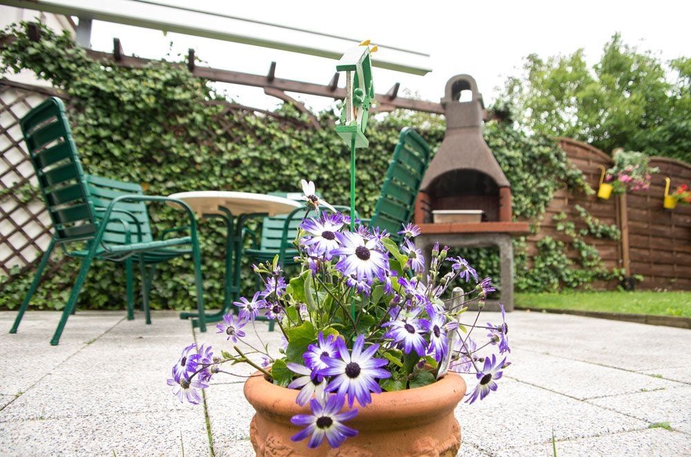 Garten Impression 3