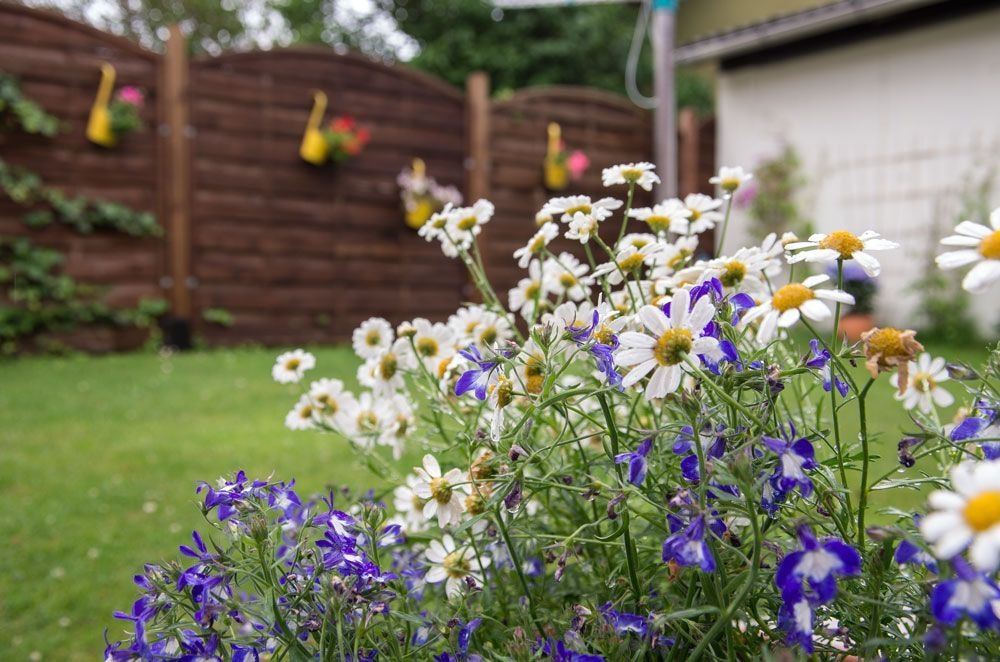 Garten Impression 4