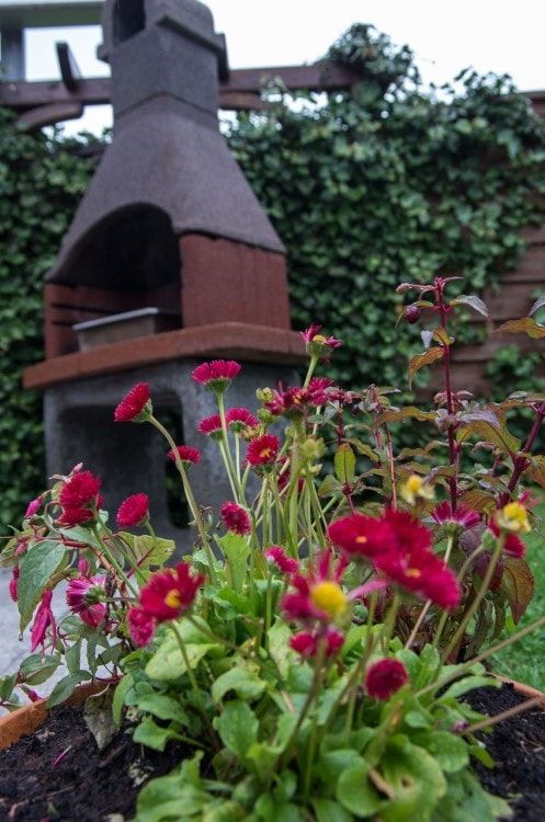 Garten Impression 5